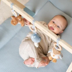 Babygym - Blauw - Forest Friends