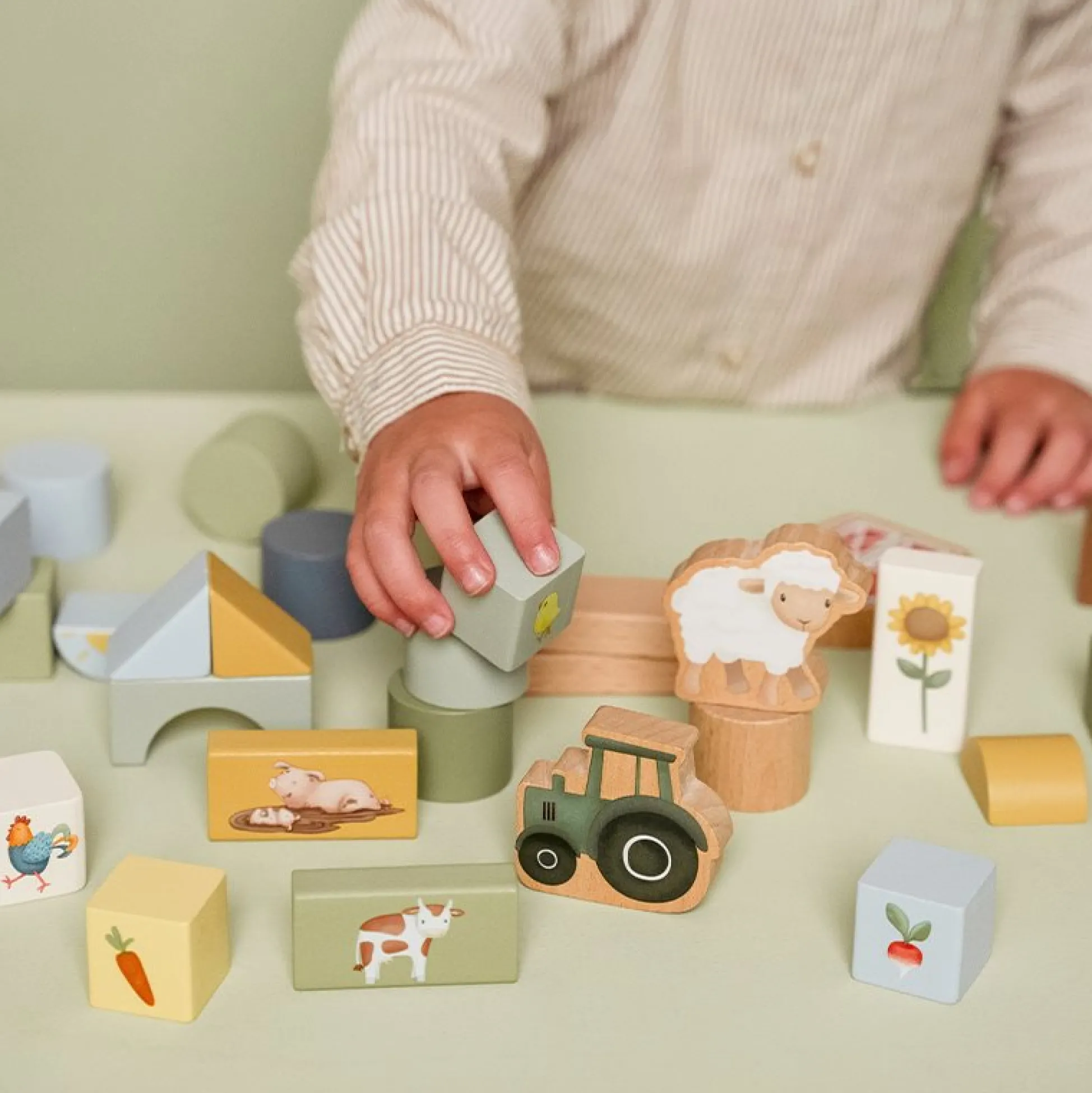Bouwblokken Little Farm