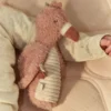 Knijprammelaar Flamingo - Roze