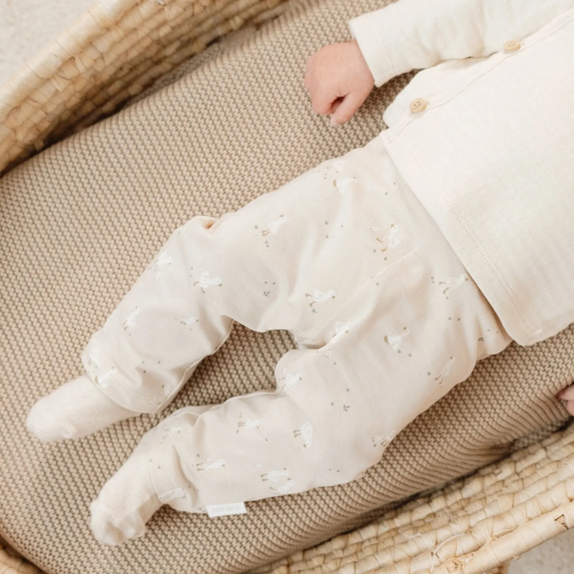 3-pack sokken - Meerkleurig - Newborn Naturals - Little Goose