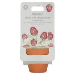 Plantenpotje - Aardbei