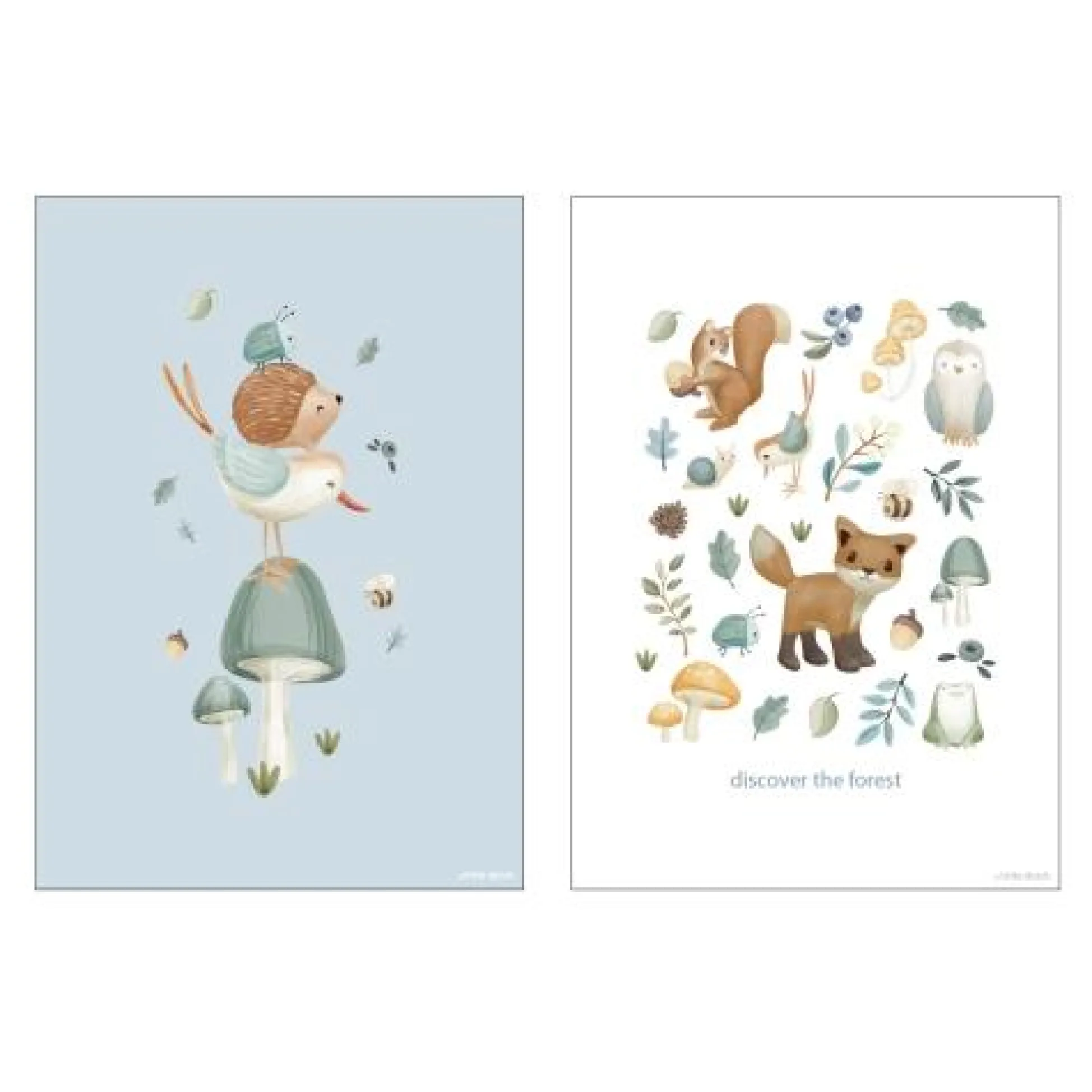 Poster - Maat A3 - Forest Friends - Forest Wonders