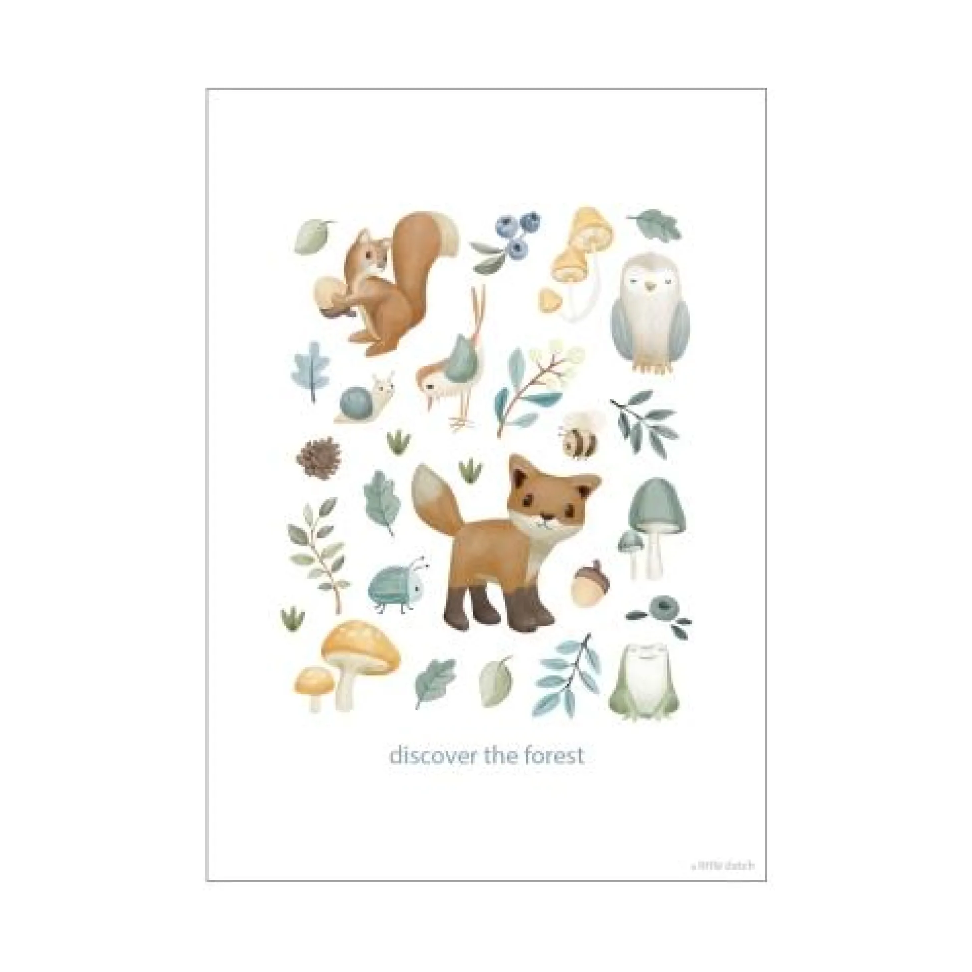 Poster - Maat A3 - Forest Friends - Forest Wonders