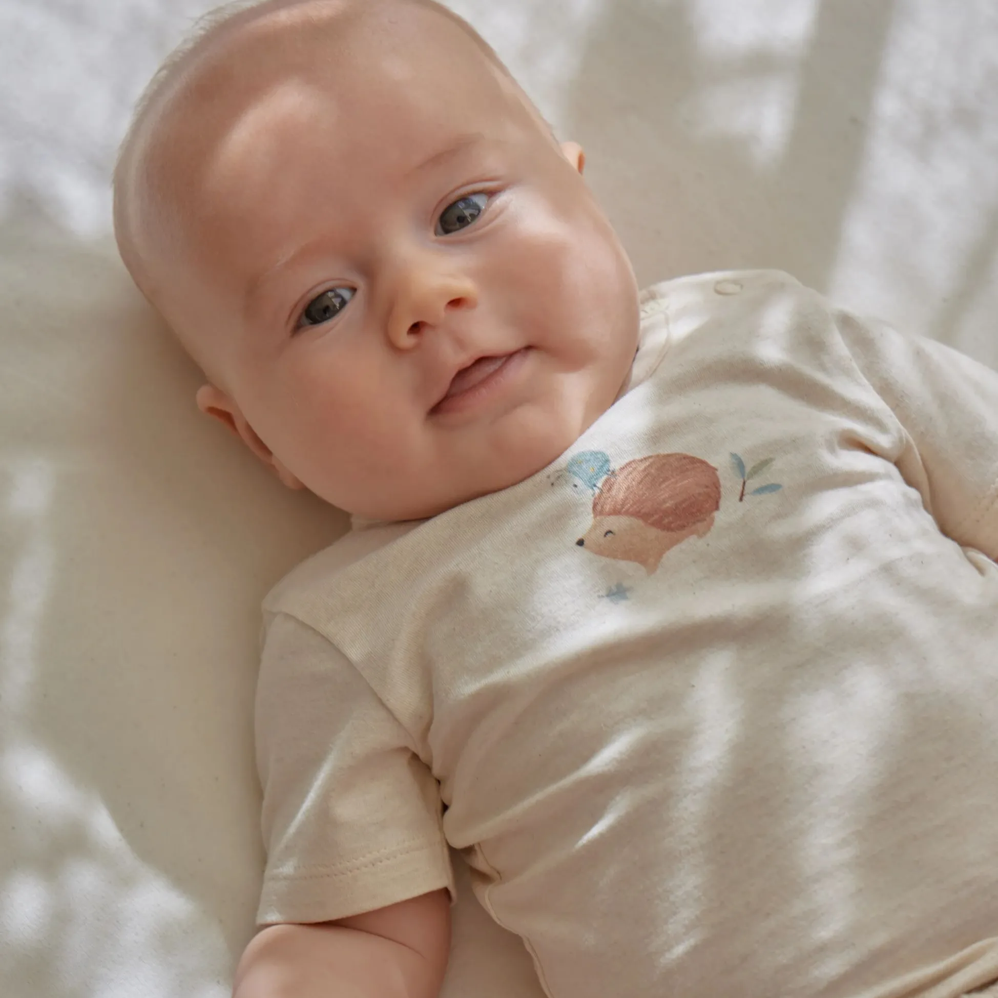 Shirt korte mouw - Zand